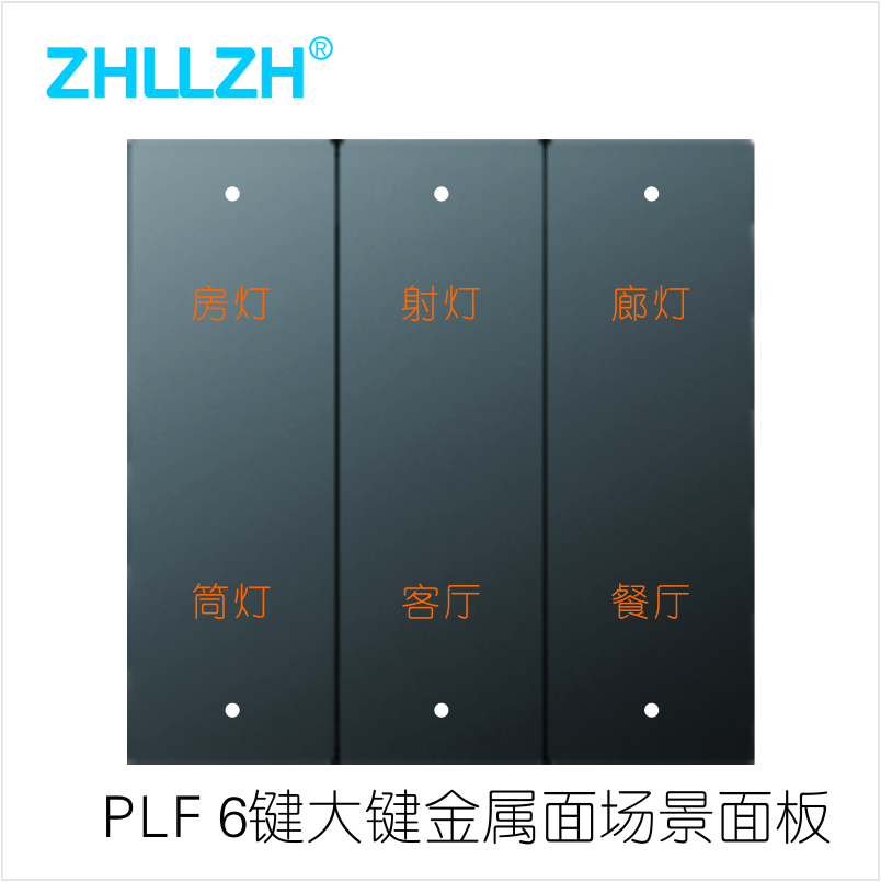 ZHL63006